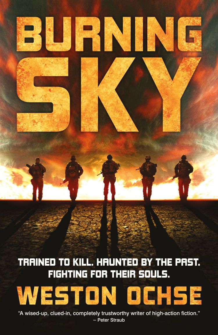 Main product image for Burning Sky