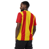 Melchester Rovers 1993-95 Jersey